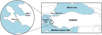 Mass mortality of the keratose sponge Sarcotragus foetidus in the Aegean Sea (Eastern Mediterranean) correlates with proliferation of Vibrio bacteria in the tissues